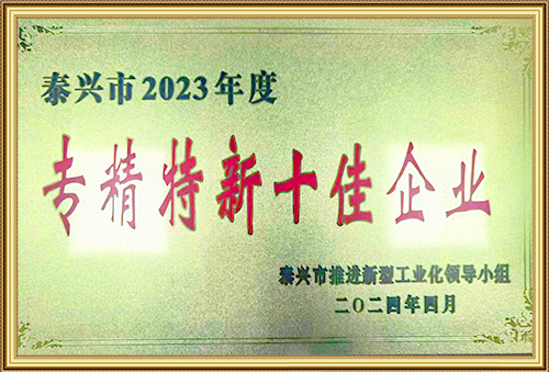 专精特新十佳企业
