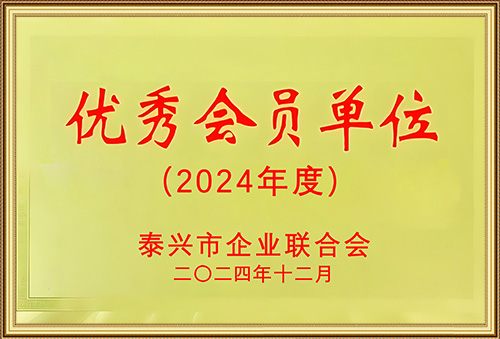 2024年泰兴企业联欢会优秀会员单位